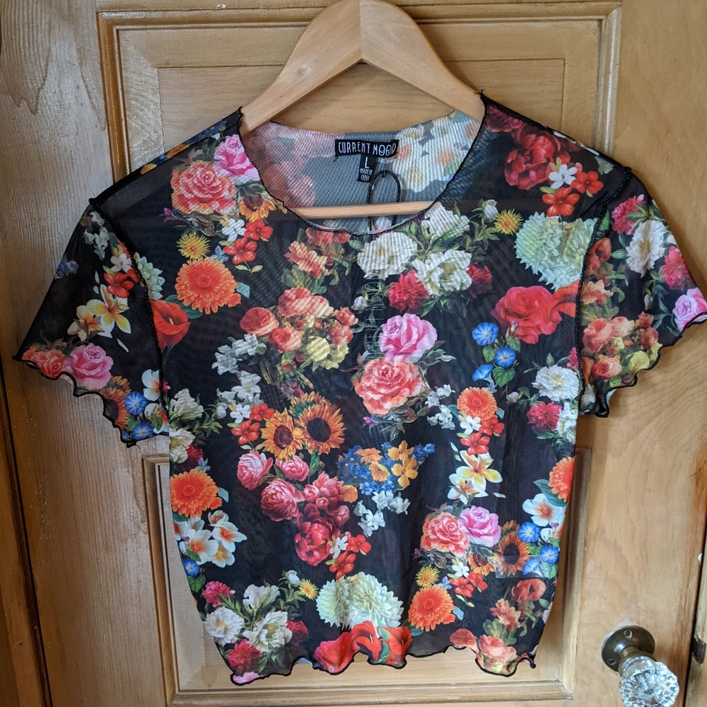 Dolls Kill Floral Sheer Crop Shirt